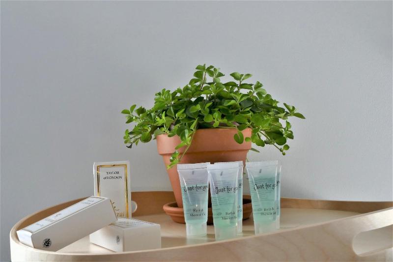 Номер Стандарт Индивидуальный, Winston B&b