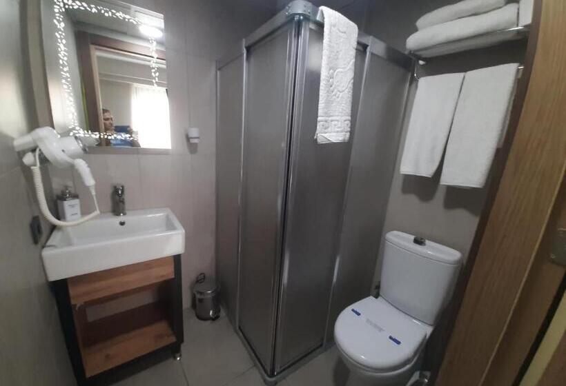 اتاق لوکس, Vizyon Beyazıt