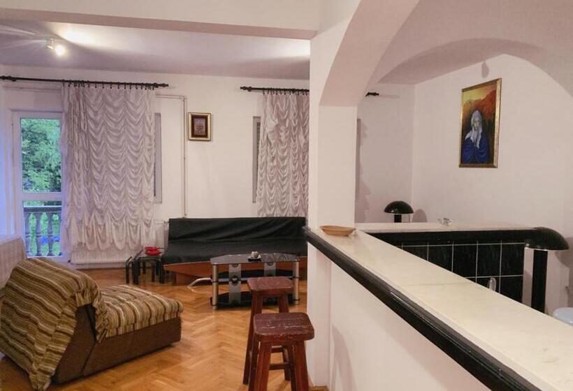 اتاق استاندارد با سرویس بهداشتی مشترک, Hostel Holiday Cetinje