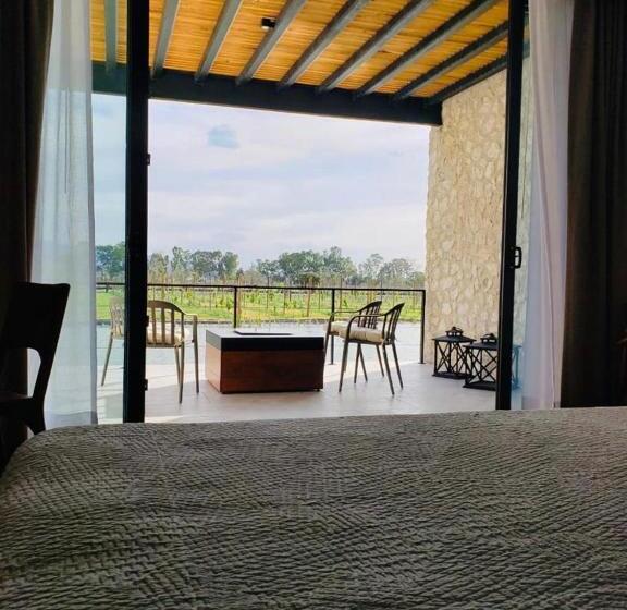 豪华套房, Viñedos San Francisco