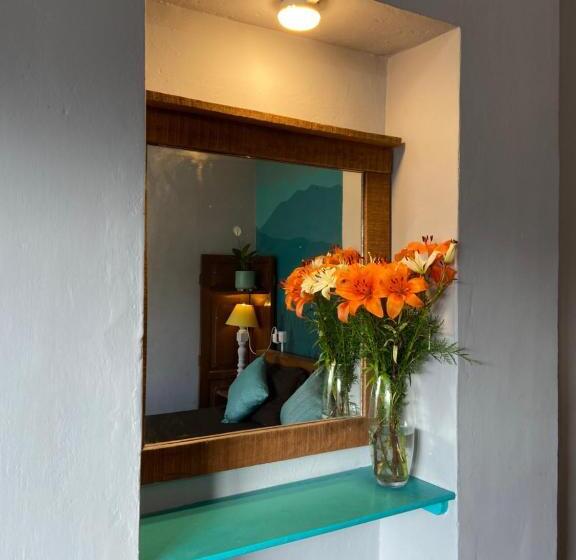 Номер Стандарт Вид на Сад, The Birdhouse Backpackers Hostel