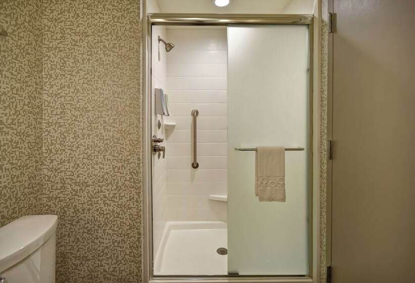 Студия Стандарт Двуспальная Кровать, Home2 Suites By Hilton Birmingham Fultondale