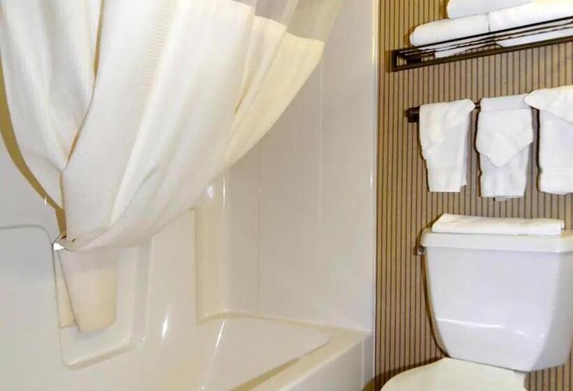 חדר סטנדרט, Norwood Inn & Suites Eagan St Paul & Mall Of America