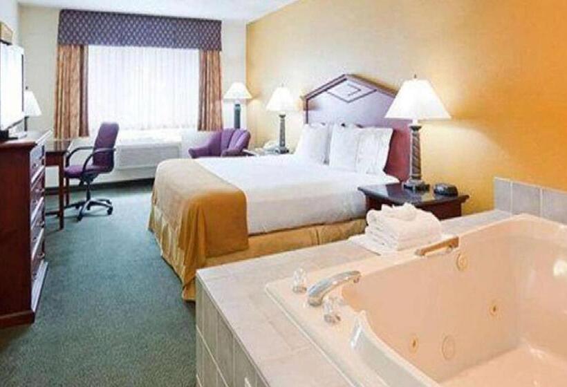Стандартный Номер Кровать Кинг, Norwood Inn & Suites Eagan St Paul & Mall Of America