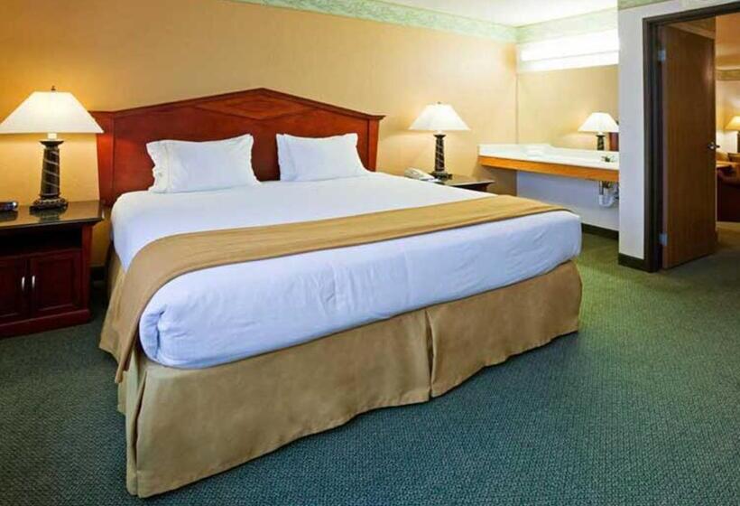 חדר סטנדרט עם מיטת קינג, Norwood Inn & Suites Eagan St Paul & Mall Of America