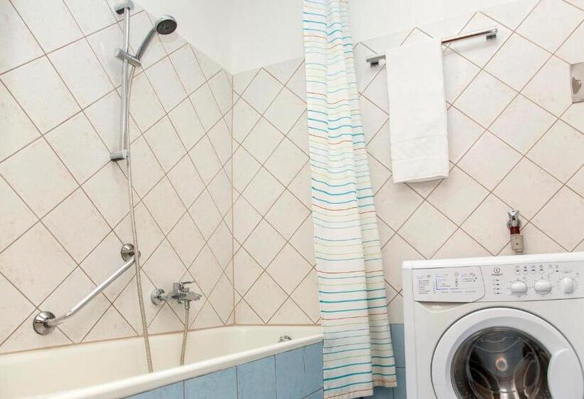 带1个卧室的豪华公寓, Pension Sacher   Apartments Am Stephansplatz