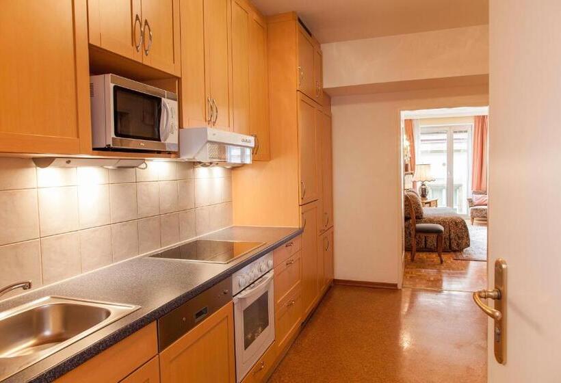 带1个卧室的豪华公寓, Pension Sacher   Apartments Am Stephansplatz