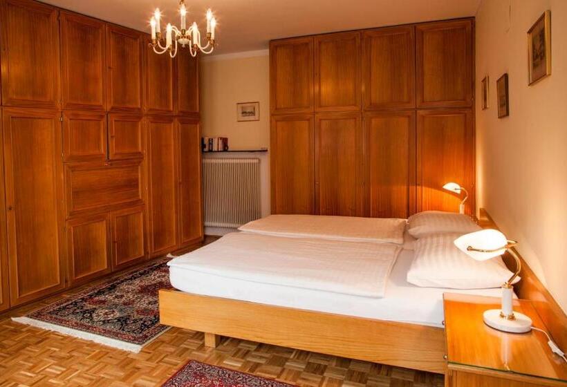 带1个卧室的豪华公寓, Pension Sacher   Apartments Am Stephansplatz