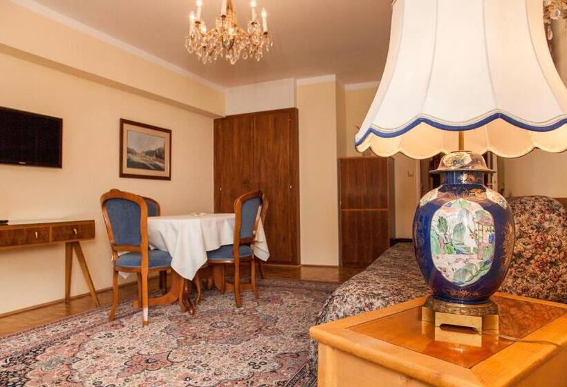 带1个卧室的豪华公寓, Pension Sacher   Apartments Am Stephansplatz