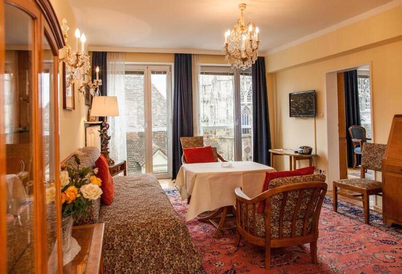 带1个卧室的豪华公寓, Pension Sacher   Apartments Am Stephansplatz