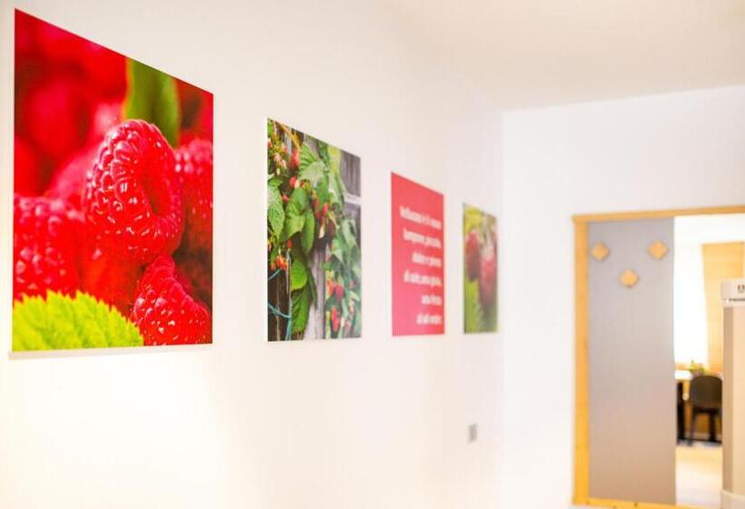 شقة غرفة واحدة, Residence Mille Montagne