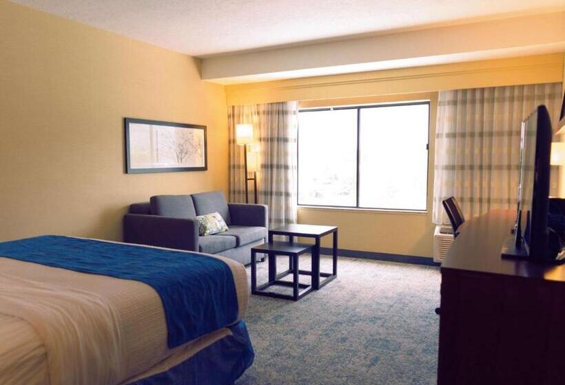 Номер Стандарт Кровать Кинг Адаптированный для Инвалидов, Best Western Plus Provo University Inn