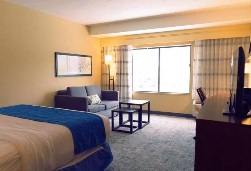 身障者適用キングサイズベッドルーム, Best Western Plus Provo University Inn