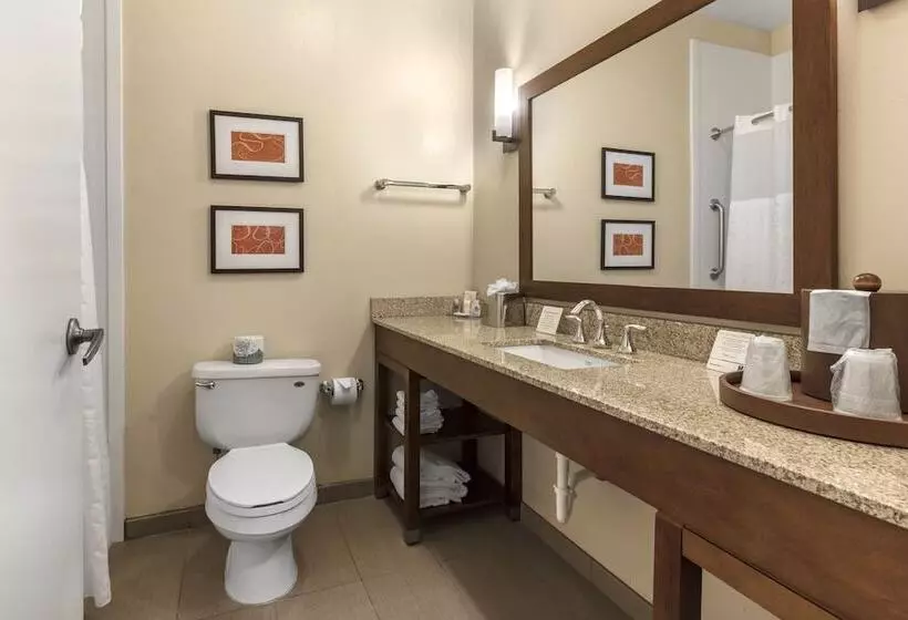 ２ダブルベッドのスタンダードルーム, Comfort Inn Memphis Downtown