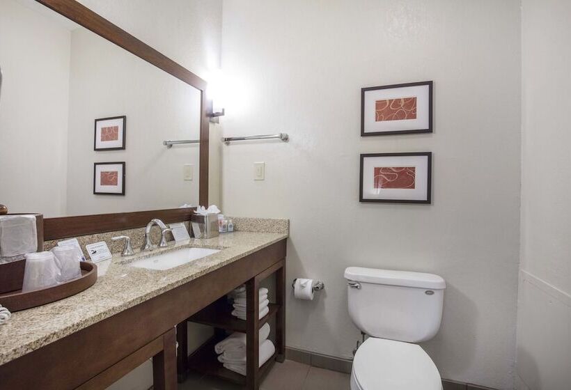 غرفه قياسيه سريرين مزدوجين, Comfort Inn Memphis Downtown