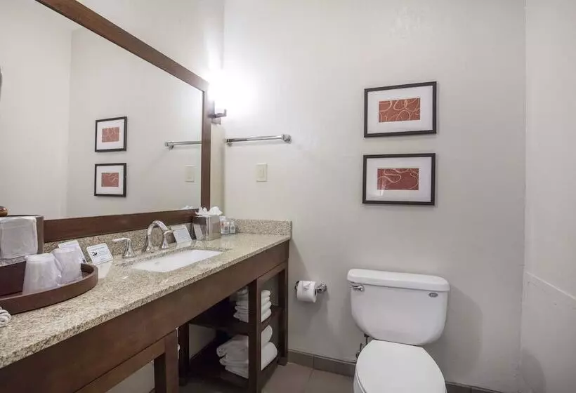 ２ダブルベッドのスタンダードルーム, Comfort Inn Memphis Downtown