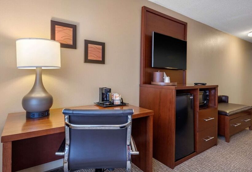 غرفه قياسيه سريرين مزدوجين, Comfort Inn Memphis Downtown