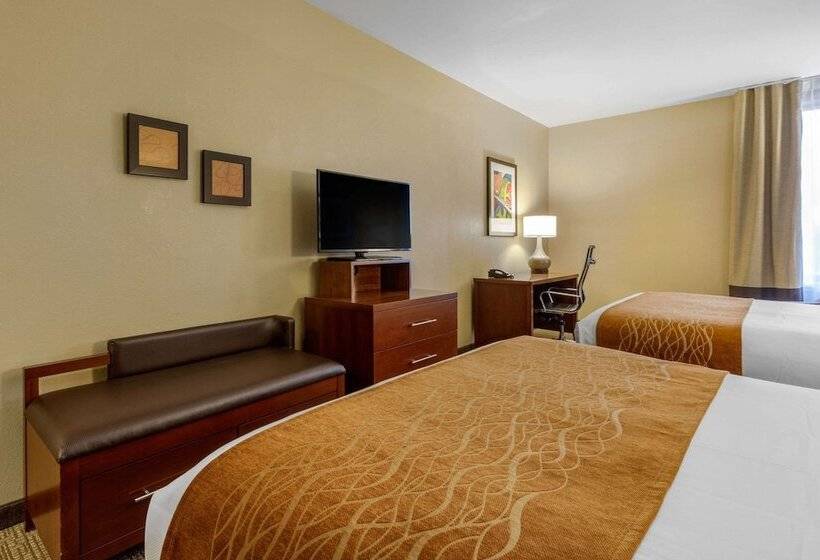 Camera Standard 2 Letti Matrimoniali, Comfort Inn Memphis Downtown