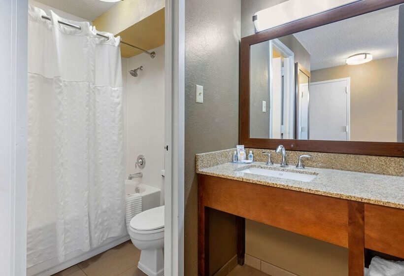 غرفه قياسيه سريرين مزدوجين, Comfort Inn Memphis Downtown