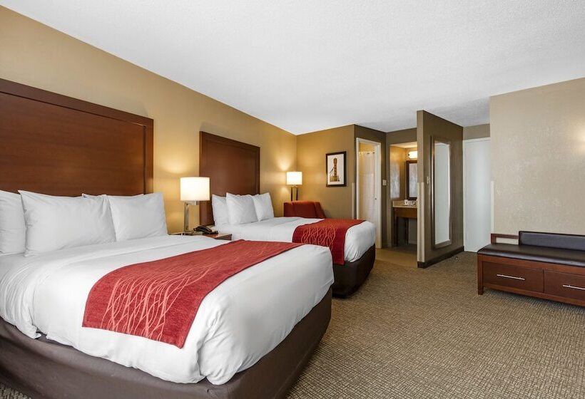 غرفه قياسيه سريرين مزدوجين, Comfort Inn Memphis Downtown