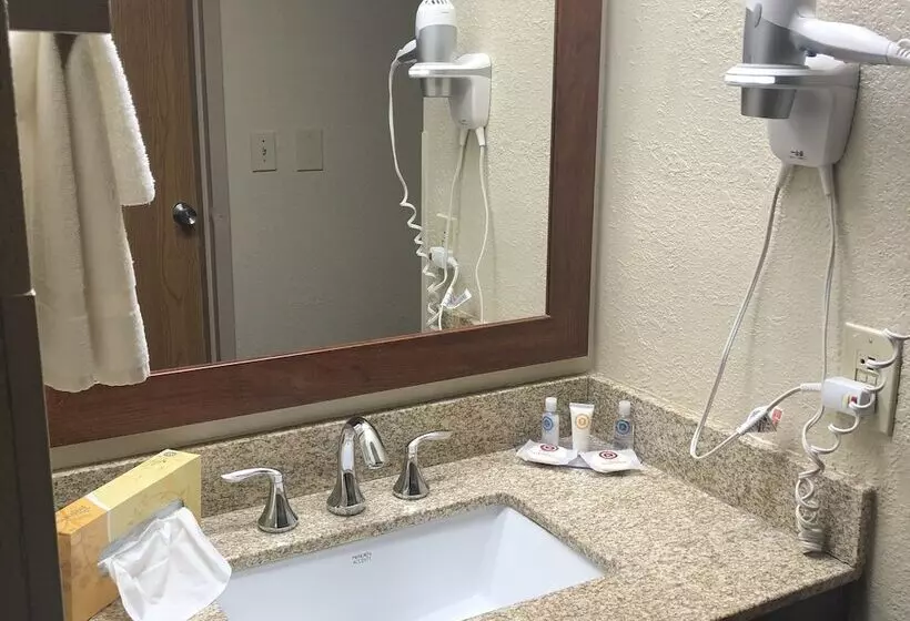 ２ダブルベッドのスタンダードルーム, Comfort Inn Northeast