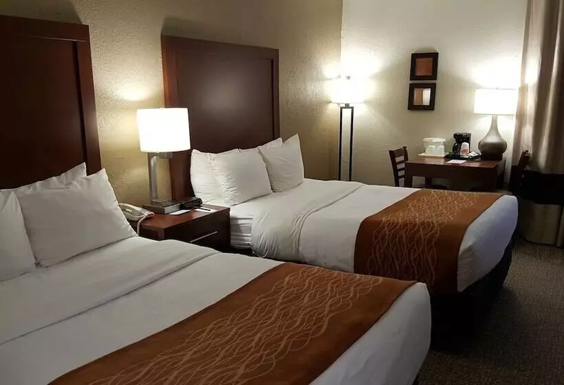 ２ダブルベッドのスタンダードルーム, Comfort Inn Northeast