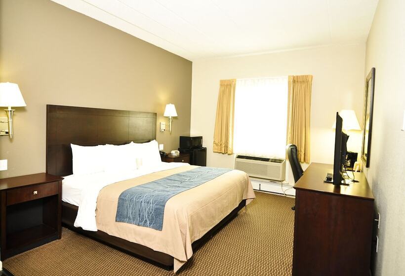 豪华房间, Comfort Inn Sandusky