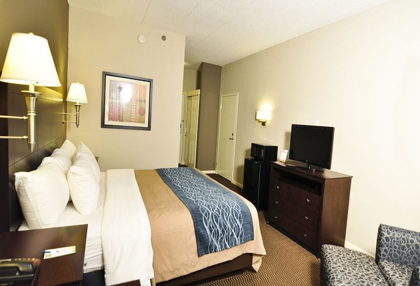 豪华房间, Comfort Inn Sandusky
