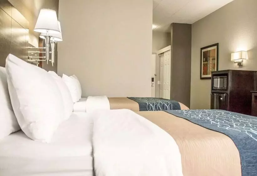 Deluxe-huone, Comfort Inn Sandusky