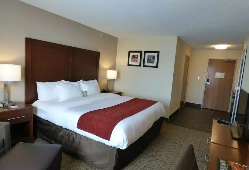 スイート, Comfort Suites Columbus West Hilliard