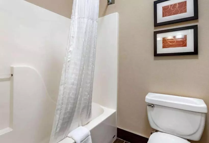 キングサイズベッドのスイートルーム, Comfort Suites Columbus West Hilliard
