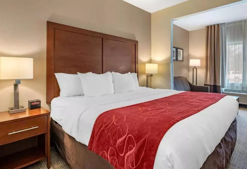 キングサイズベッドのスイートルーム, Comfort Suites Columbus West Hilliard