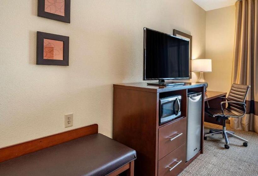 스탠다드 룸 킹사이즈 침대, Comfort Suites Columbus West Hilliard