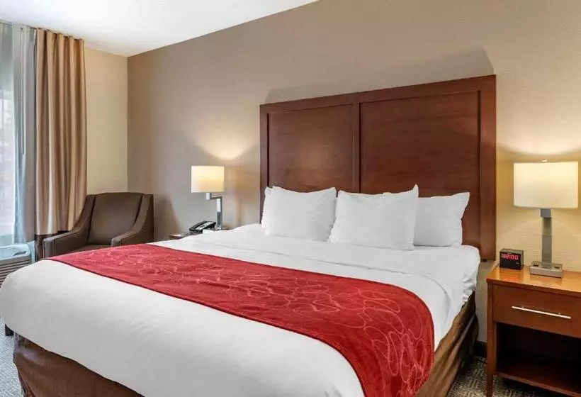 キングサイズベッドのスタンダードルーム, Comfort Suites Columbus West Hilliard