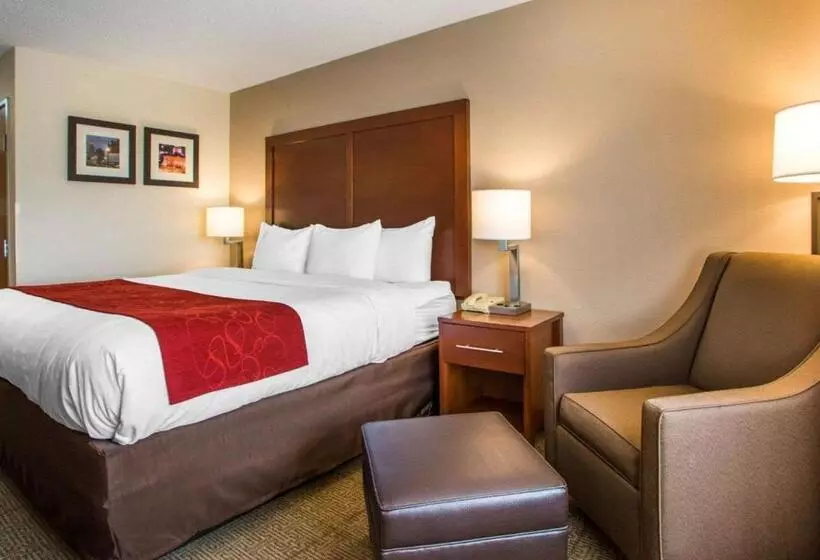 キングサイズベッドのスタンダードルーム, Comfort Suites Columbus West Hilliard