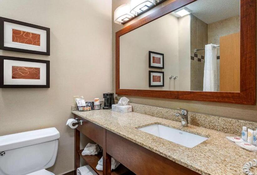 스탠다드 룸 킹사이즈 침대, Comfort Suites Columbus West Hilliard