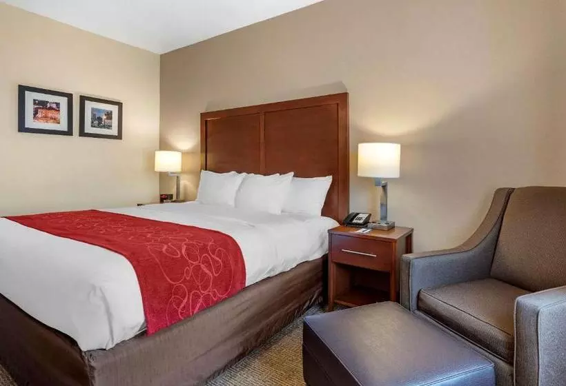 身障者適用キングサイズベッドルーム, Comfort Suites Columbus West Hilliard
