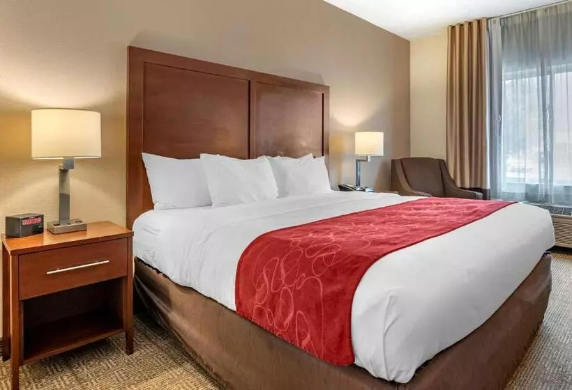 身障者適用キングサイズベッドルーム, Comfort Suites Columbus West Hilliard