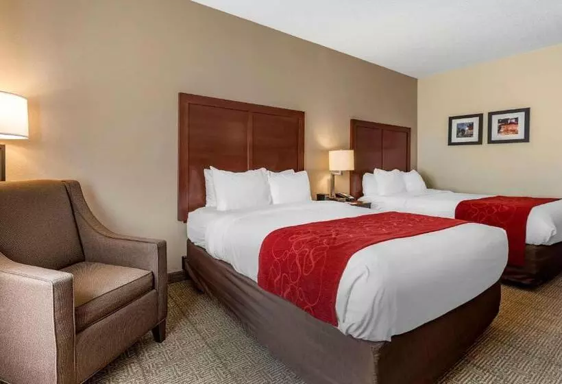 身障者適用スタンダードルーム, Comfort Suites Columbus West Hilliard