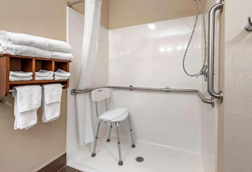 장애인을 위한 퀸사이즈 스탠다드 룸, Comfort Suites Columbus West Hilliard