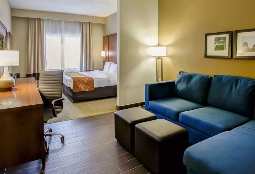 スイート, Comfort Suites Georgetown