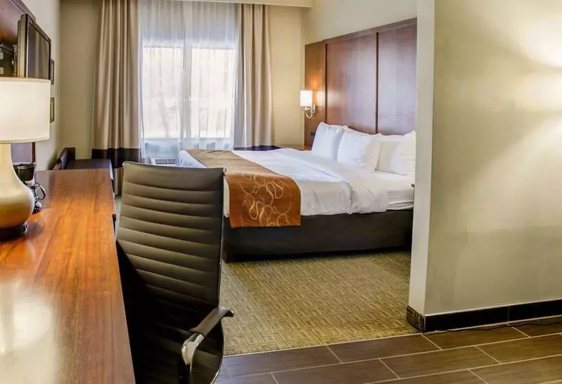 スイート, Comfort Suites Georgetown