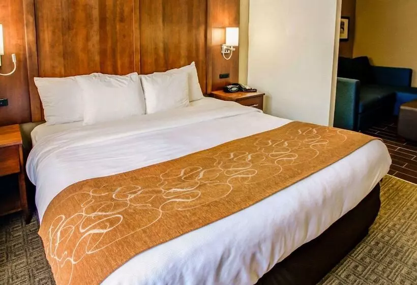 スイート, Comfort Suites Georgetown