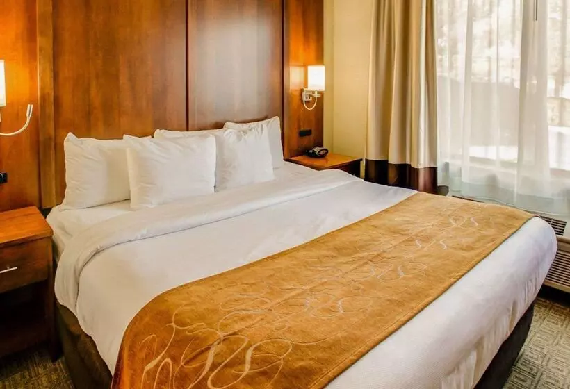 スイート, Comfort Suites Georgetown