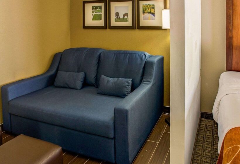 スイート, Comfort Suites Georgetown