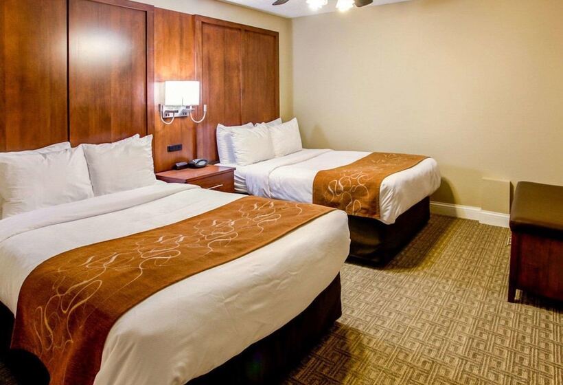 スイート, Comfort Suites Georgetown