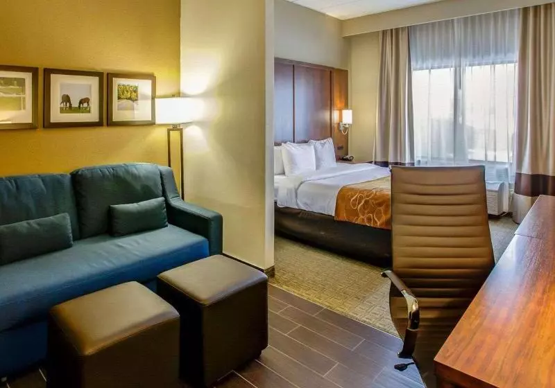 キングサイズベッドのスタンダードルーム, Comfort Suites Georgetown