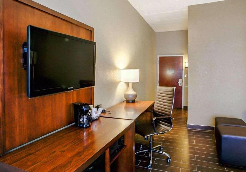 스탠다드 룸 킹사이즈 침대, Comfort Suites Georgetown