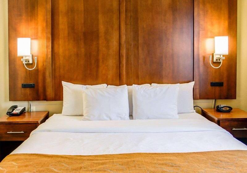 キングサイズベッドのスタンダードルーム, Comfort Suites Georgetown