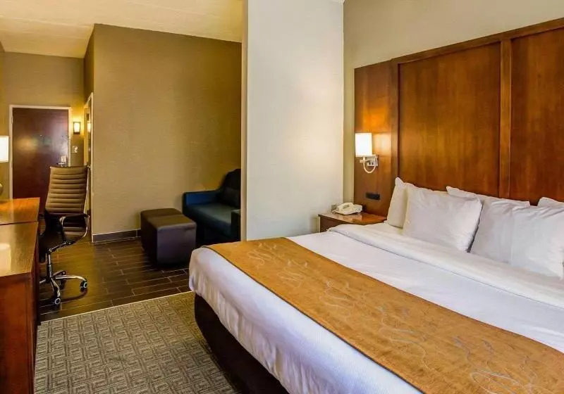 キングサイズベッドのスタンダードルーム, Comfort Suites Georgetown
